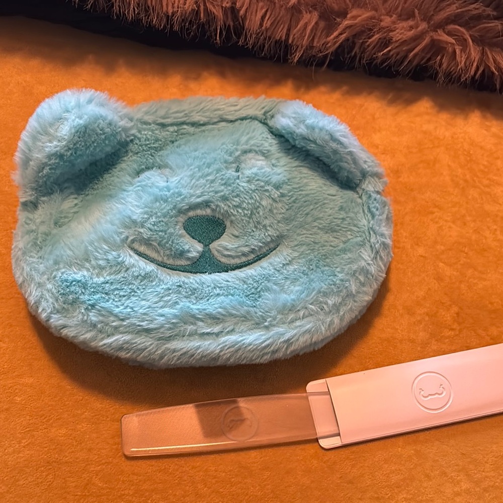 Cute Blue Bear Plush Pouch